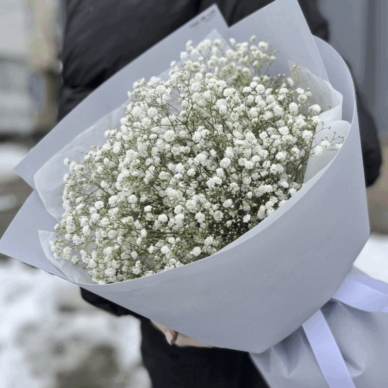 Гипсофила "Белая"