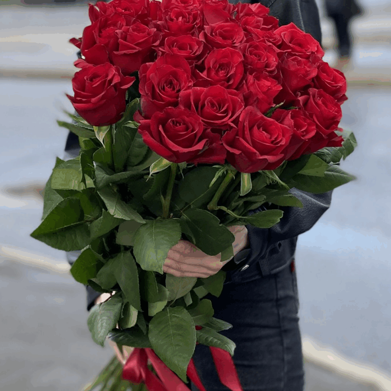 25 Роза красная "Голландия"